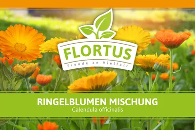 Artikelbild 15 von 'Ringelblumen Mischung' aus der Kategorie Ringelblumensamen