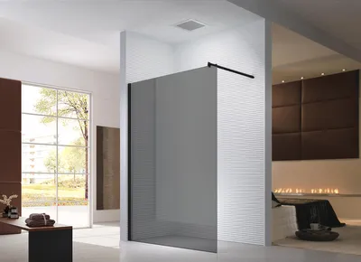 Produktbild von Glaszentrum Hagen 120x200 cm  Walk in Dusche Grau Transparent