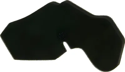 Image de Cartouche de filtre à air pour Honda Wallaroo