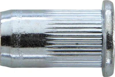 Immagine prodotto di GESIPA dado rivetto cieco gambo rivetto d x l 11 x 17 mm M8 testa tonda piatta acciaio - 1433707