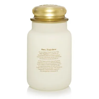 Obrázek produktu pro Yankee Candle Vůně roku 2019 One Together vonná svíčka velká dóza 623 g