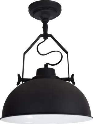 A black pendant light fixture against a white background.