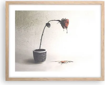 Produktbild von Gerahmtes Poster - Rahmen in heller Eiche - Symbol Rose Leiden - 50x40 cm - Wand Bild - Wanddeko - Wandbilder - Kunstposter - Wandposter - Bilderrahmen - Bilder - Kunstdruck - P2NAA50x40-4501