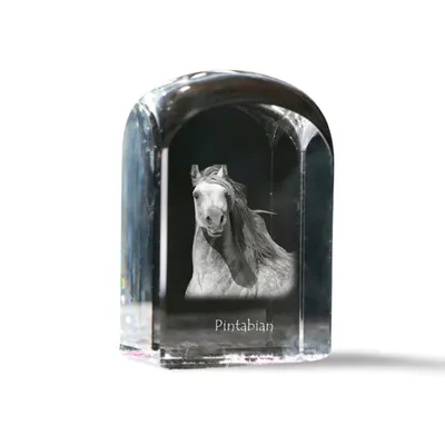 Obrázek produktu pro Pintabian křišťálová pečeť s koněm Art-Dog