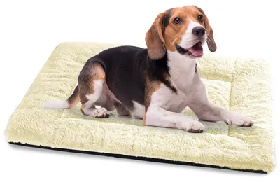 Produktbild von SolidKeus – Waschbares Hundekissen, 90 x 60 cm, Beige, mit rutschfester Unterseite