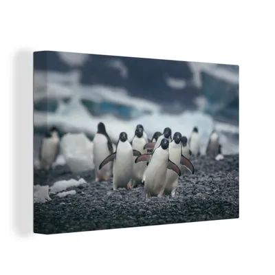 Produktbild von OneMillionCanvasses® - Leinwandbilder - 150x100 cm, Adeliepinguine am Strand, Wandbilder Kunstdruck Wanddekoration
