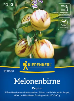 Artikelbild 2 von 'Pepino Melonenbirne' aus der Kategorie Melonensamen