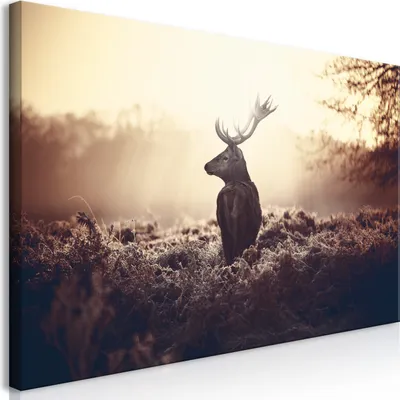 Produktbild von Wandbild Mega XXXL Hirsch 250x125 cm Einteiliger XXL-Format Kunstdruck zur Selbstmontage Leinwandbilder moderne Bilder DIY Wanddekoration Wohnung Deko Natur Tier Landschaft g-B-0045-ak-h