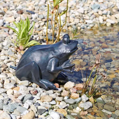 Produktbild von CLGarden Wasserspeier Figur Frosch für Teich Wasser Springbrunnen Teichfigur schwarz/anthrazit