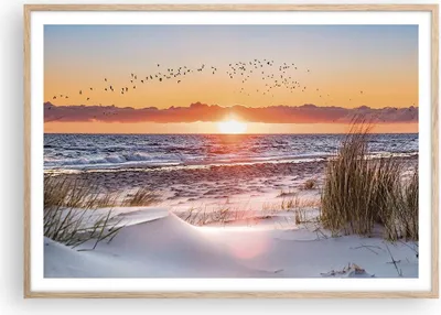 Produktbild von Gerahmtes Poster - Rahmen in heller Eiche - Sonne Strand Vögel - 100x70 cm - Wand Bild - Wanddeko - Wandbilder - Kunstposter - Wandposter - Bilderrahmen - Bilder - Kunstdruck - P2NAA100x70-4727