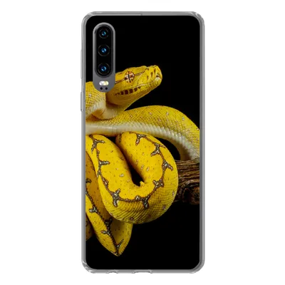Produktbild von MuchoWow® Handyhülle Schutzhülle Hülle für Huawei P30 Schlange - Zweig - Gelb Silikon Softcase Handy Hülle - Kartenbesitzer