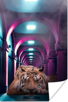 Produktbild von MuchoWow® Poster Tiger - Club - Farben 60x90 cm - Wanddekoration