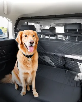 Immagine prodotto di VEVOR cancello di sicurezza per cani per auto, larghezza 1167 mm, parete divisoria, protezione per cani, cancello di sicurezza per auto, cancello per animali domestici con rete per camion SUV, nero