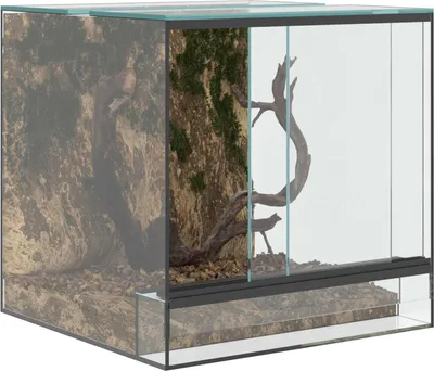 Produktbild von Langlebige Reptilien- und Amphibienhabitate Weiß 30 x 30 x 30cm Glas - Möbel343772 - Terrarien