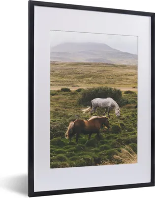 Produktbild von MuchoWow® MuchoWow® Gerahmtes Poster Pferde - Gras - Weiß 30x40 cm - Poster mit zchwarzem Bilderrahmen - Wandposter Schlafzimmer