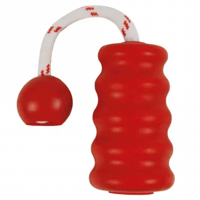 Obrázok produktu pre Trixie Aqua Toy MOT®-Fun
