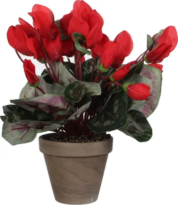 Produktbild von Mica Decorations Cyclamen Kunstpflanze im Blumentopf Stan - H30 x Ø30 cm - Rot