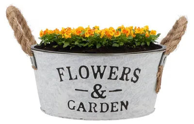Produktbild von Pflanzentopf/Blumentopfschale Jardin - rund - Zink - weis - D21 x H9 cm