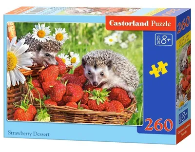 Obrázek produktu pro Puzzle 260 dílů Ježek a Jahody 27484