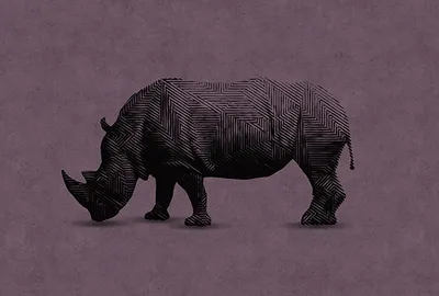 Produktbild von Tadessi Fototapete | Tiere | 4.00 m x 2.70 m | Lila | Schwarz | Wandbild | Digitaldruck