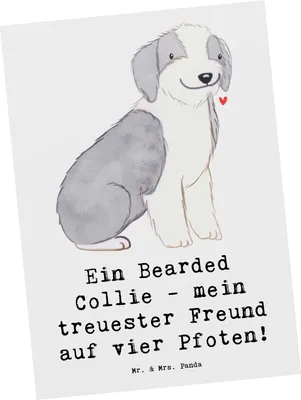Produktbild von Mr. & Mrs. Panda Grußkarte Bearded Collie Freund - Weiß - Geschenk, Postkarten, Eigenschaften, glückliche Momente, Seelenfreund, Hunderasse, bildkarte, Postkarte, spielen