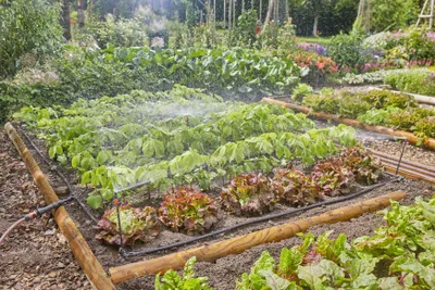 Zdjęcie produktu dla Gardena Micro-Drip-System Border Set - Micro-Drip-System Set (13450-20)