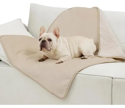 Productafbeelding van Waterdichte hondenbedekking, 100x80 cm, Sherpa fleece, crème kleur, wasbaar