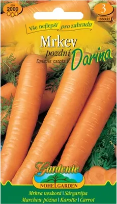 Image de Carotte tardive DARINA