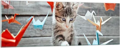 Produktbild von Bilder auf glas - Katze spaß origami - 90x30cm - Glasbilder - Wandbilder - Kunstdruck - zum Aufhängen bereit - Wanddekoration aus Glas - Glas Bilder - Wandbild auf Glas - Einteilig - GAB90x30-2818