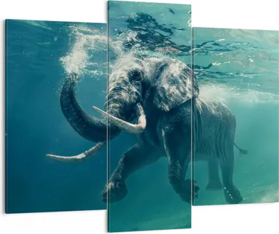 Produktbild von Bild auf Leinwand - Leinwandbild - Elefant Tier Wasser - 130x100cm - Wand Bild - Wanddeko - Leinwanddruck - Bilder - Kunstdruck - Wanddekoration - Leinwand bilder - Wandkunst - CB130x100-3944