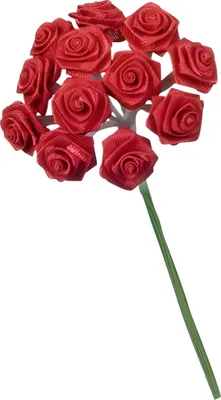 Produktbild von KNORR PRANDELL 216547150 Diorrose 10 x 15 cm rot