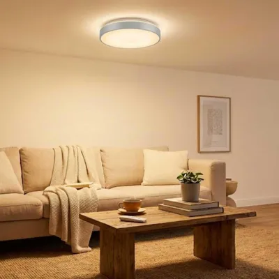 Produktbild von Ledvance LED Wand- & Deckenleuchte Silber rund Ø31cm 17W 1000lm 2700K-6500K CCT Dimmbar mit Fernbedienung