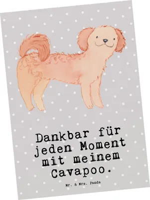 Produktbild von Mr. & Mrs. Panda Postkarte Cavapoo Moment - Grau Pastell - Geschenk, Fotokarte, Ansichtskarte, Cavoodle, Grußkarte, Postkarten, Ansichtskarten