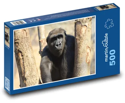 Obrázok produktu pre Puzzle 500 Gorila medzi stromami - martinpuzzle