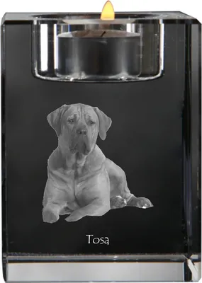 Produktbild von Tosa Inu, Tosa-Hund - Kerzenhalter mit Hundefoto, Teelichthalter aus Kristall, personalisiertes Geschenk der Marke Art-Dog