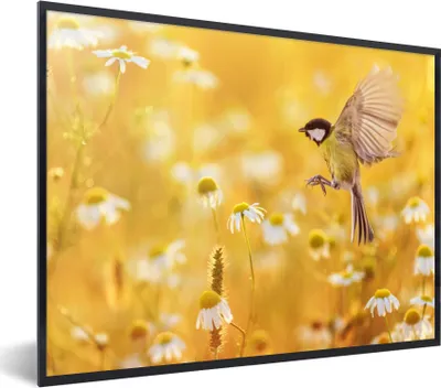 Produktbild von MuchoWow® Gerahmtes Poster Vogel - Kohlmeise - Blumen - Gänseblümchen 80x60 cm - Poster mit Schwarzem Bilderrahmen Wandposter Rahmen Foto Bilder - Schwarzem - Mit Gestell