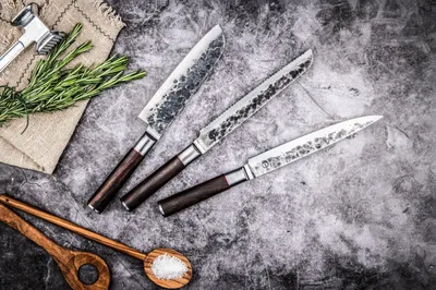 Immagine prodotto di Coltello da pane Forged Sebra, acciaio giapponese 440C, manico in legno Dalbergia, lunghezza lama 20,5 cm