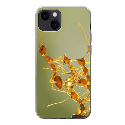 Produktbild von MuchoWow® Handyhülle Schutzhülle Hülle für iPhone 13 Ameisen - Orange - Tiere Silikon Softcase Handy Hülle - Karteninhaber