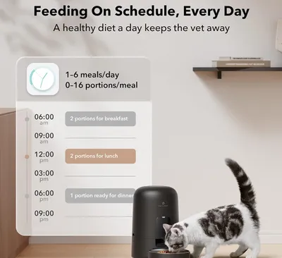 A cat is eating from a pet feeder next to a graphic showing feeding schedule options.