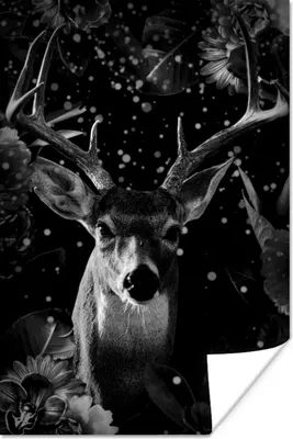 Produktbild von MuchoWow® Poster Botanische Hirsche mit hellen Kugeln vor dunklem Hintergrund - schwarz und weiß 120x180 cm - Kunstposter