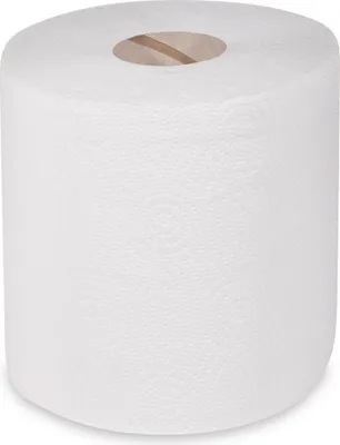 Produktbild von Perforierte Küchentücher 19 cm x 100 m 6 Stück.