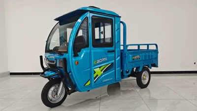 Produktbild von Eborn Cargo Cat 3-F V2 (45 km/h) - Blau