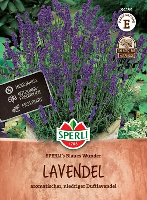 Zdjęcie produktu dla Sperli Lawenda Niebieski cud - nasiona kwiatów