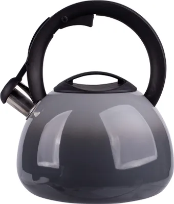 Produktbild von ROBIN 3,0 l Edelstahl Wasserkessel / Teekessel mit Pfeife
