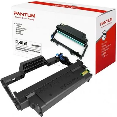 Image de Toner PANTUM DL-5120 - 30 000 pages
