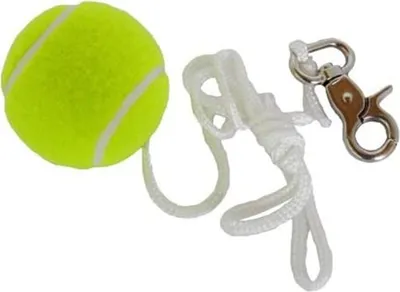 Produktbild von Best Sporting 64002 Ersatzball mit Karabiner für T