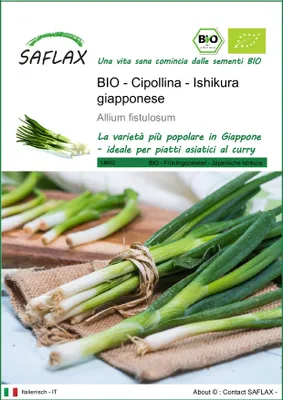 Immagine prodotto di SAFLAX  -- Cipollina - Ishikura giapponese - 150 semi - Allium