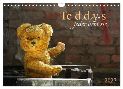 Produktbild von Teddys...jeder liebt sie (Wandkalender 2027 DIN A4 quer), CALVENDO Monatskalender