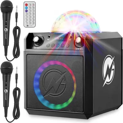 Karaoke-Lautsprecher 300 W mit RGB-Diskokugel, 2 Mikrofonen, Bluetooth