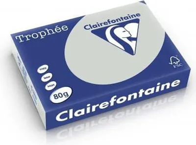 Produktbild von Clairefontaine Multifunktionspapier Trophée A4 stahlgrau 80 g/qm 500 Blatt